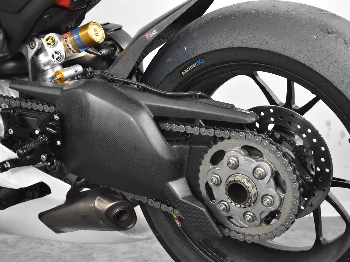 Ducati Panigale V4 S 1100 (2021) (17)