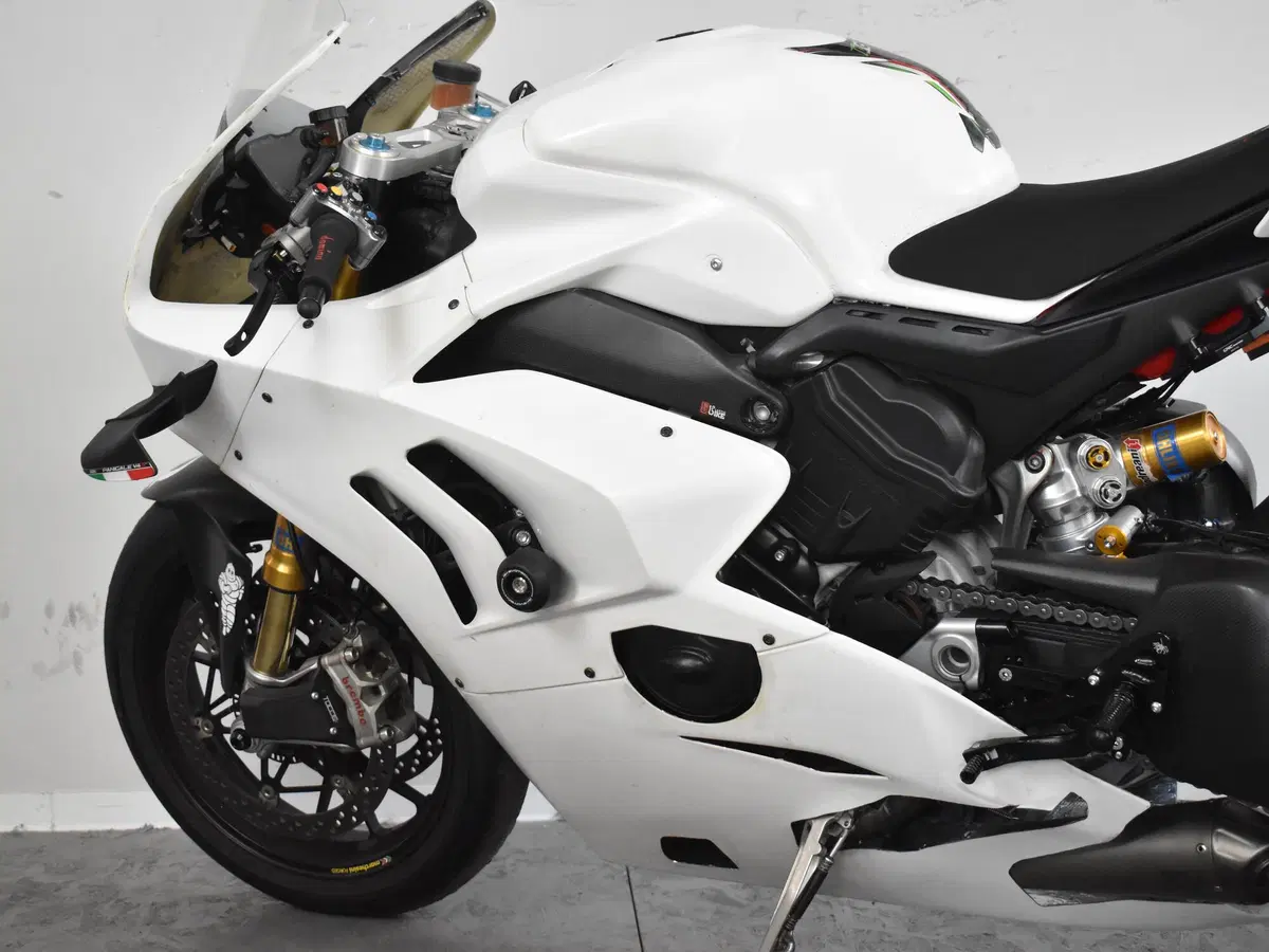 Ducati Panigale V4 S 1100 (2021) (18)