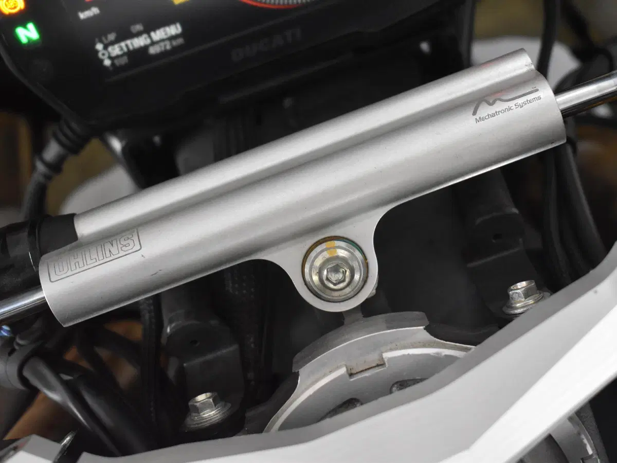 Ducati Panigale V4 S 1100 (2021) (19)