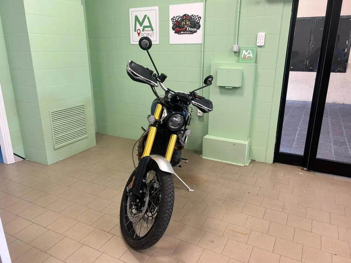 Triumph Scrambler 1200 XE (2019 - 20) (3)