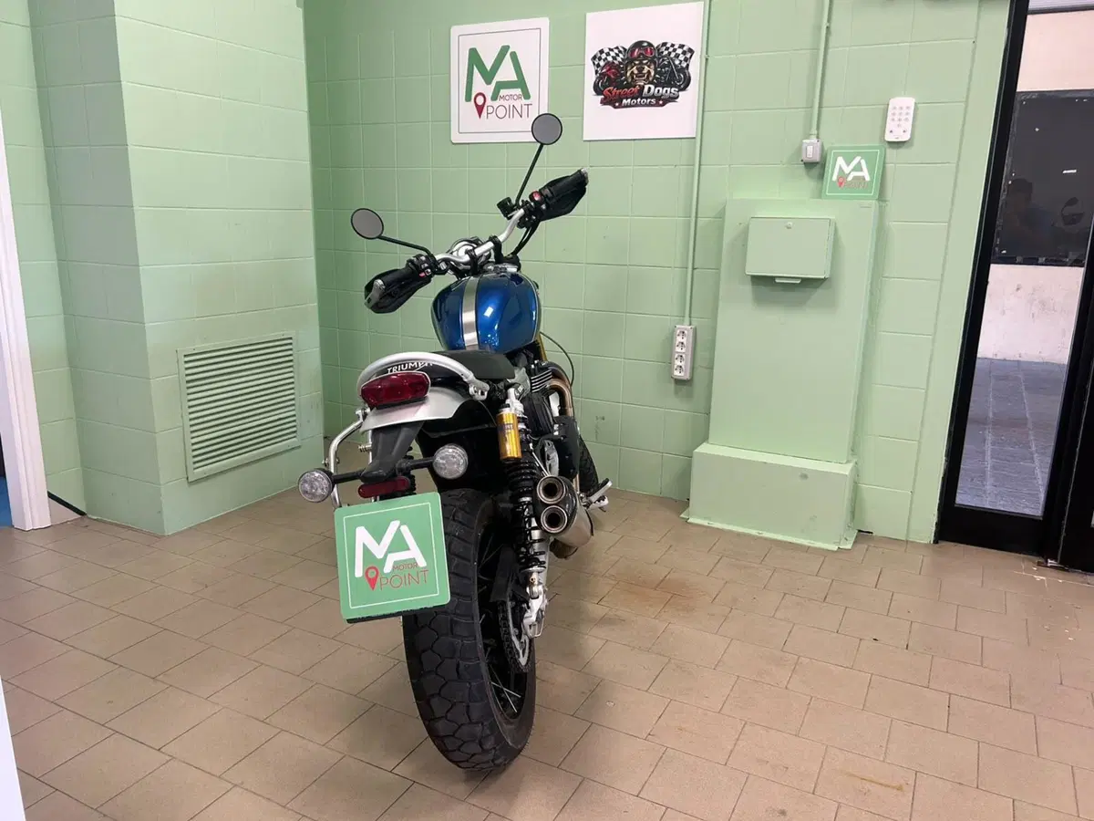 Triumph Scrambler 1200 XE (2019 - 20) (4)