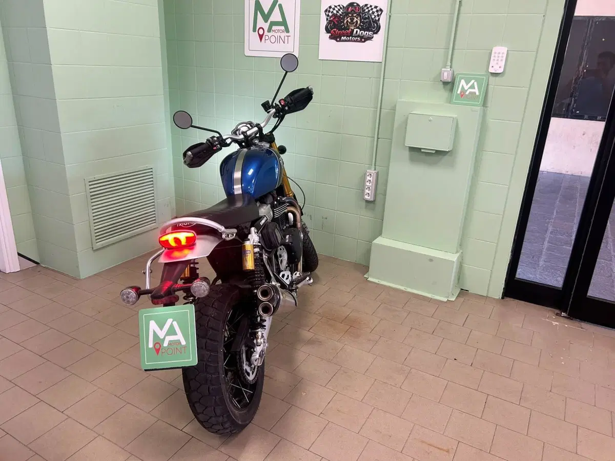 Triumph Scrambler 1200 XE (2019 - 20) (11)