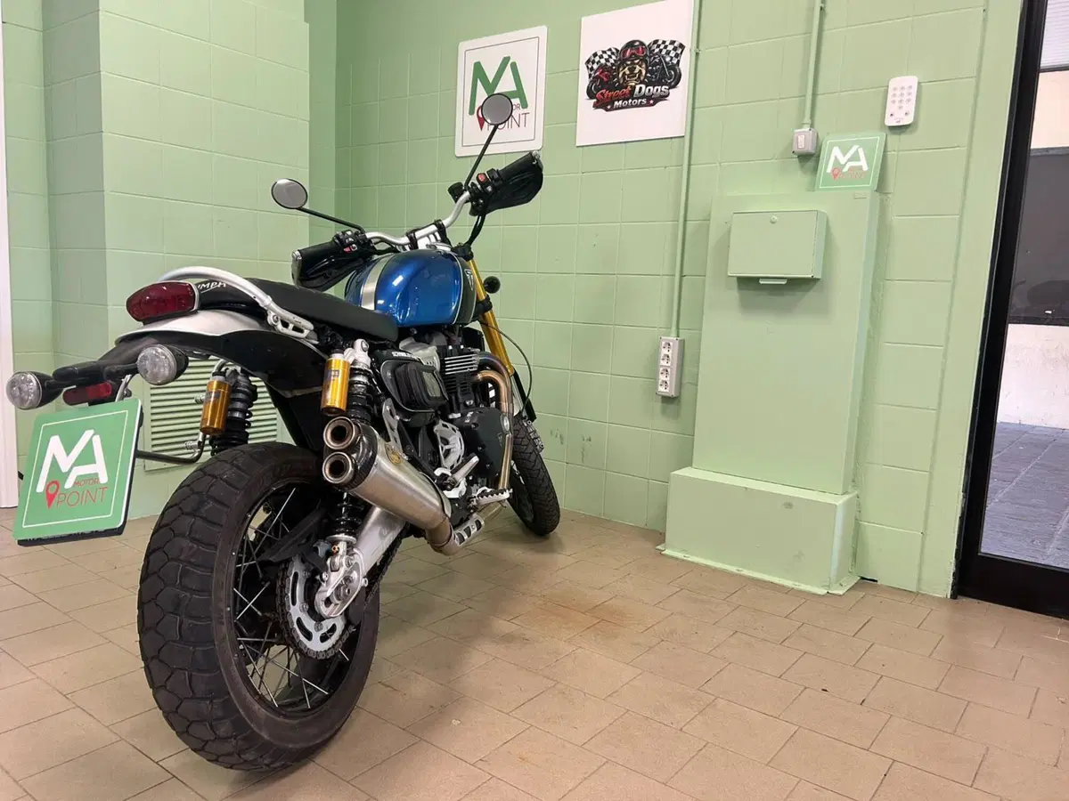 Triumph Scrambler 1200 XE (2019 - 20) (12)