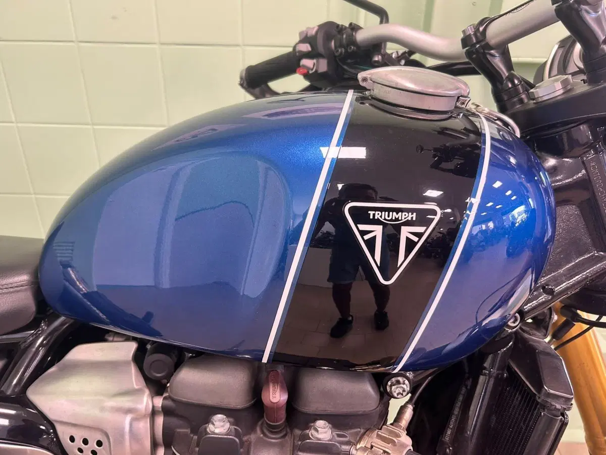 Triumph Scrambler 1200 XE (2019 - 20) (13)