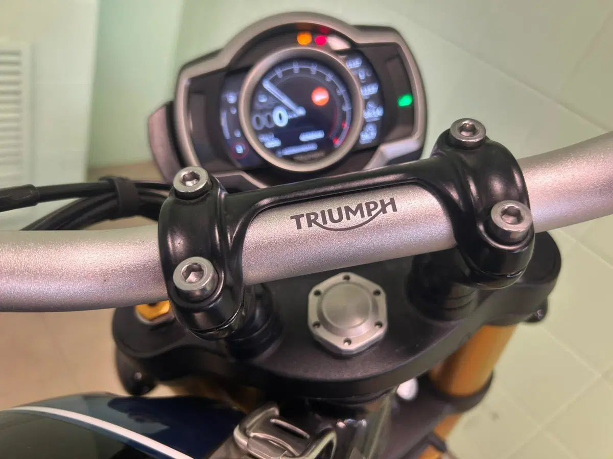 Triumph Scrambler 1200 XE (2019 - 20) (15)