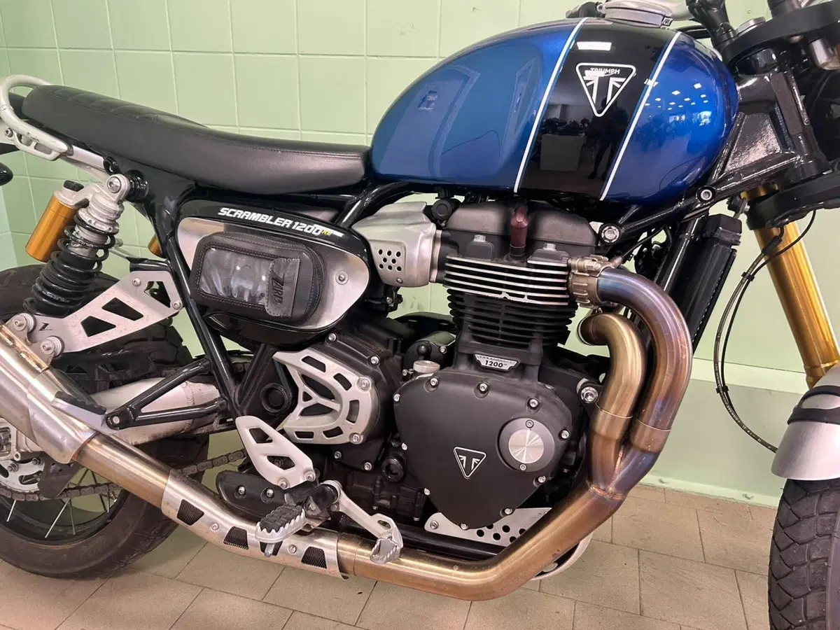 Triumph Scrambler 1200 XE (2019 - 20) (17)