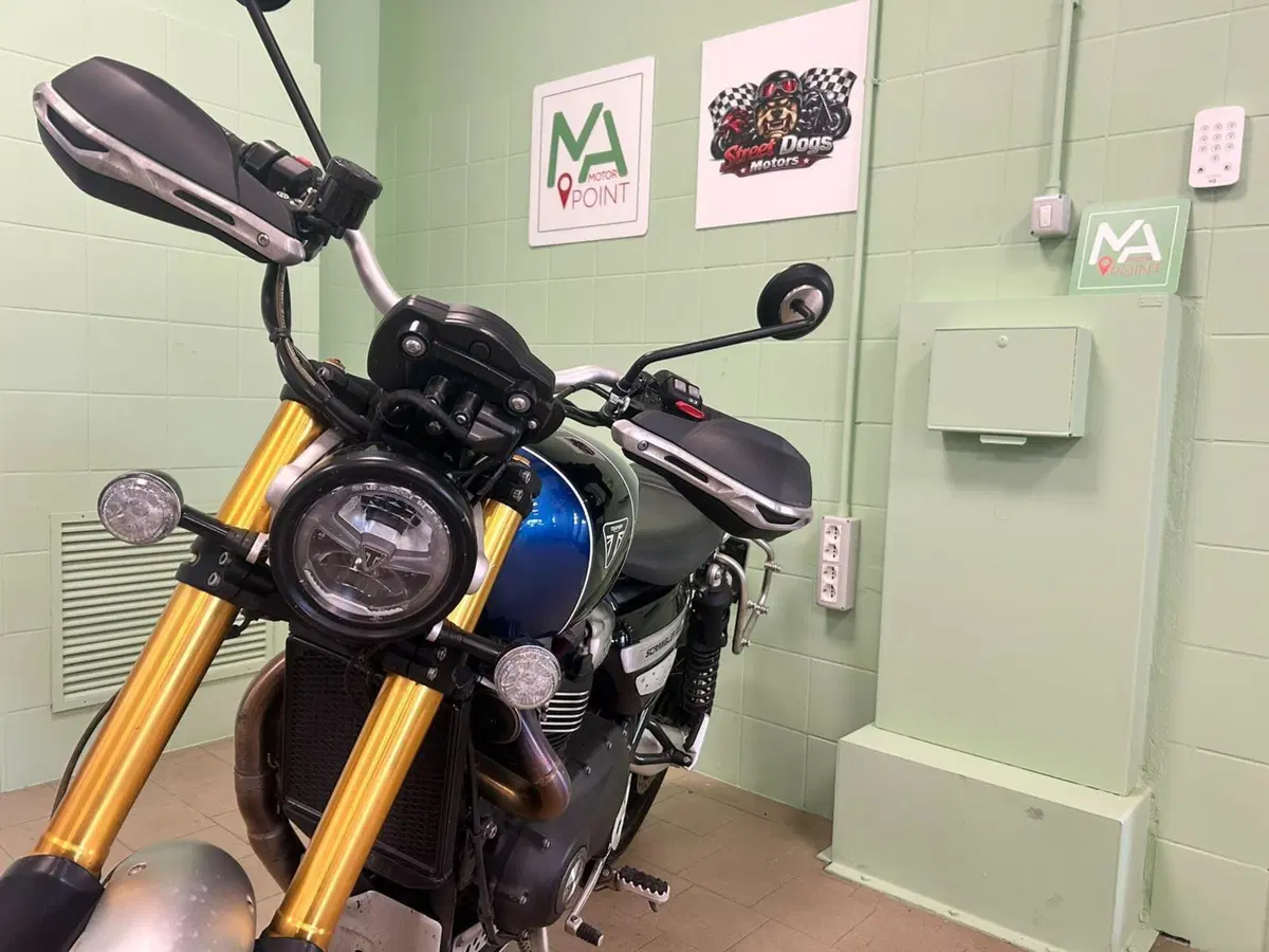 Triumph Scrambler 1200 XE (2019 - 20) (19)