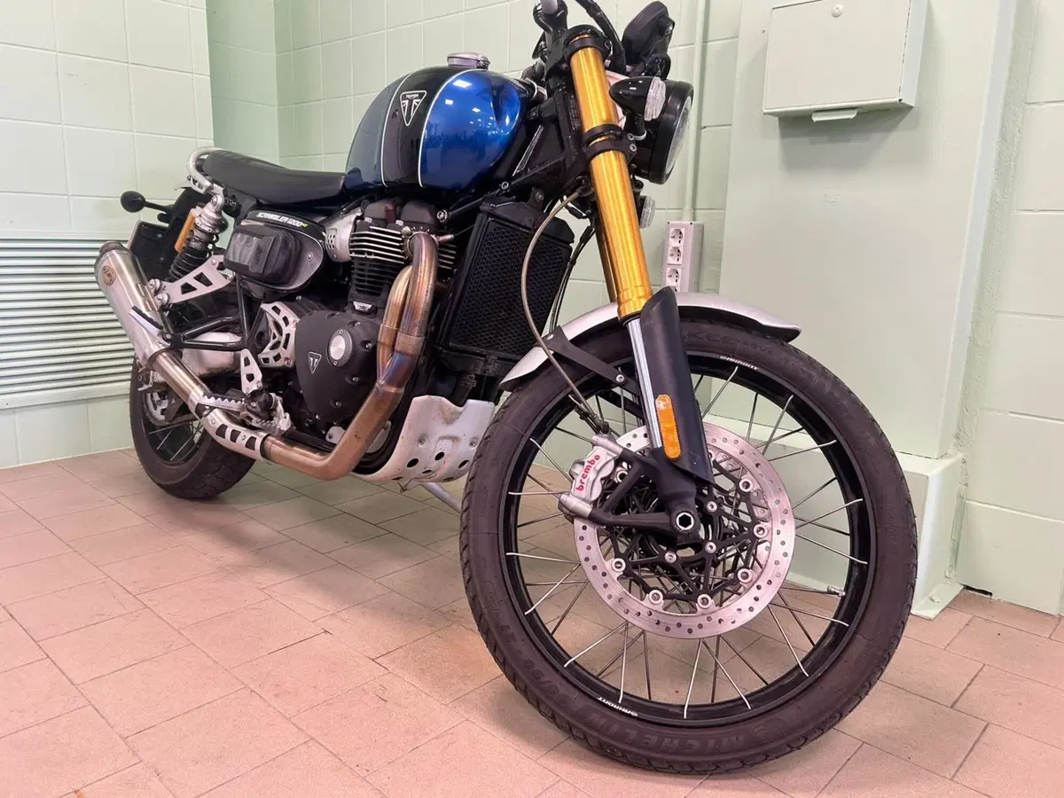Triumph Scrambler 1200 XE (2019 - 20) (20)