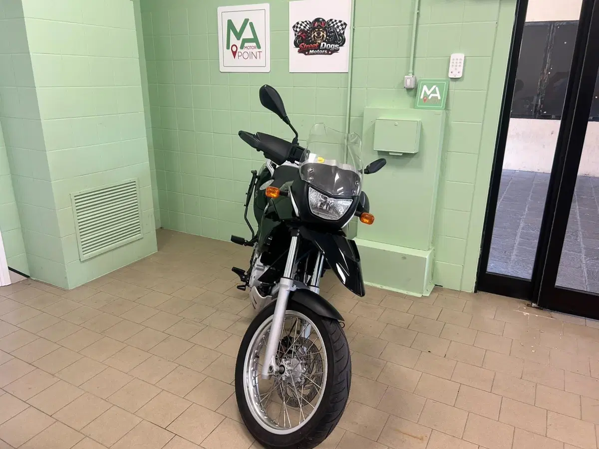 Bmw F 650 GS (2004 - 07) (3)
