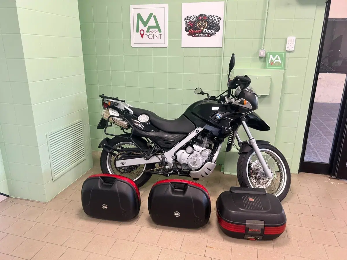 Bmw F 650 GS (2004 - 07) (8)