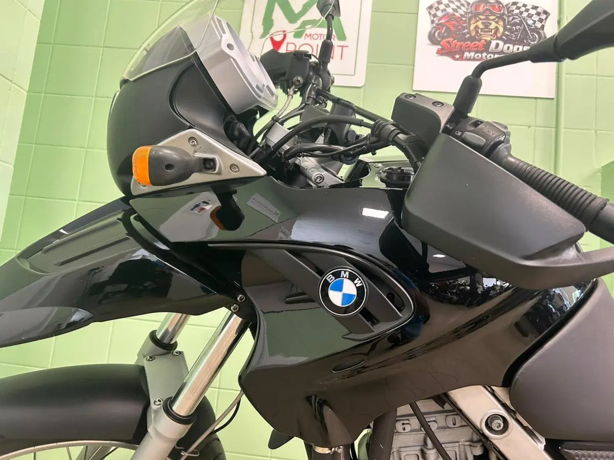 Bmw F 650 GS (2004 - 07) (14)