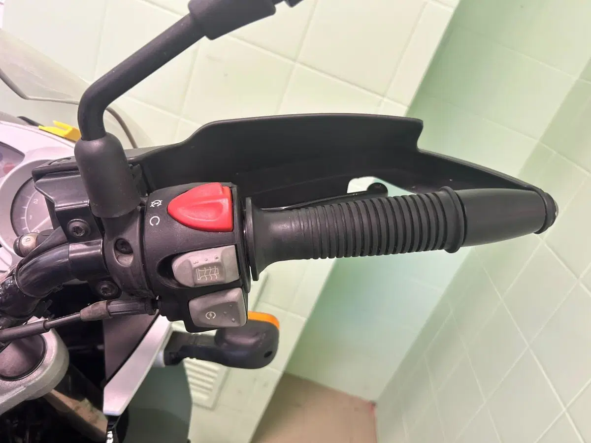 Bmw F 650 GS (2004 - 07) (16)