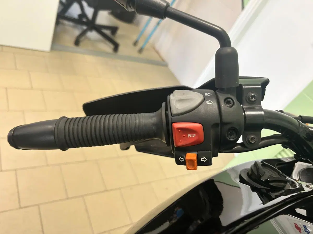 Bmw F 650 GS (2004 - 07) (17)