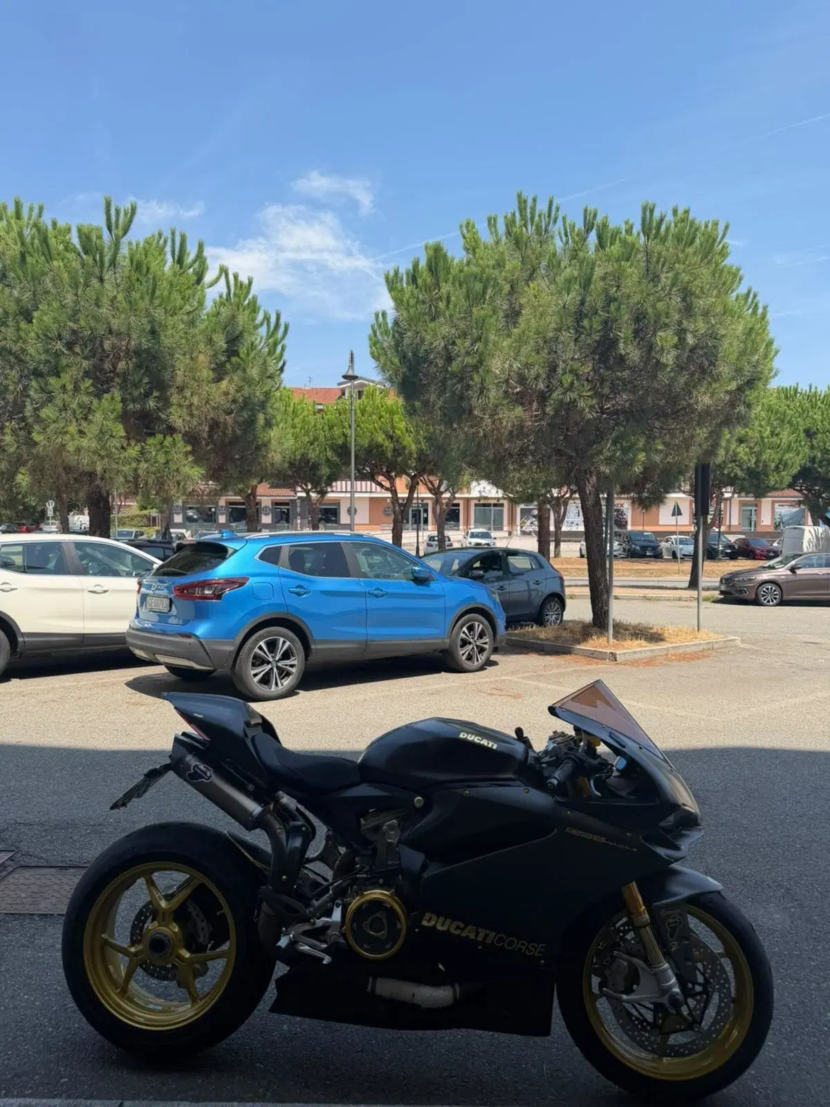Ducati 1299 Panigale (2015 - 17) (2)