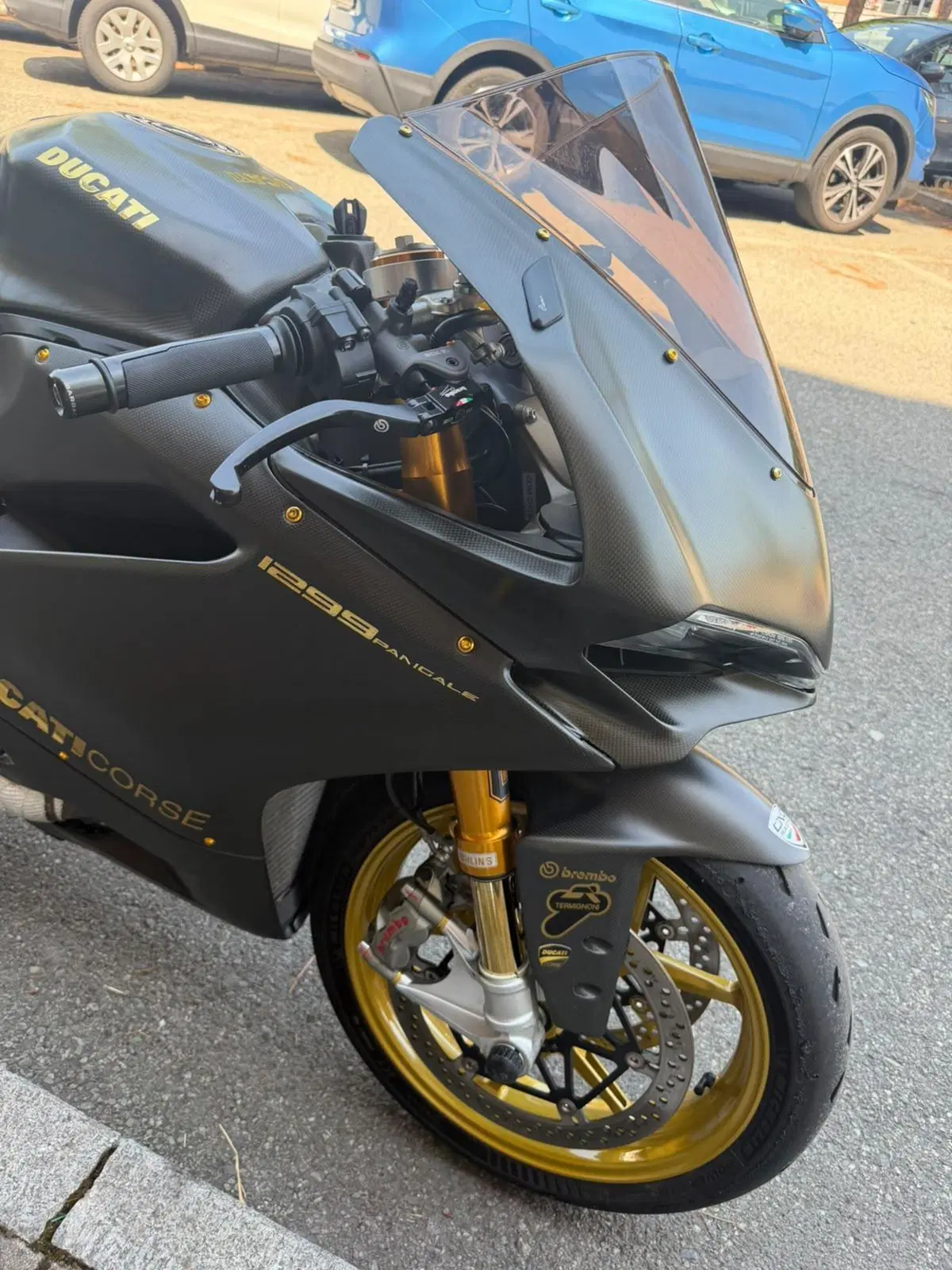 Ducati 1299 Panigale (2015 - 17) (14)