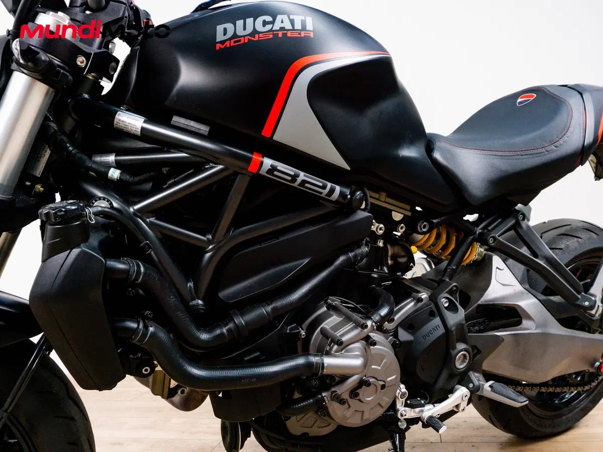 Ducati Monster 821 (2018 - 20) (9)
