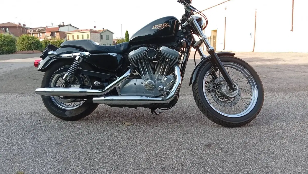 Harley-Davidson 883 Custom (2008 - 12) - XL 883C
