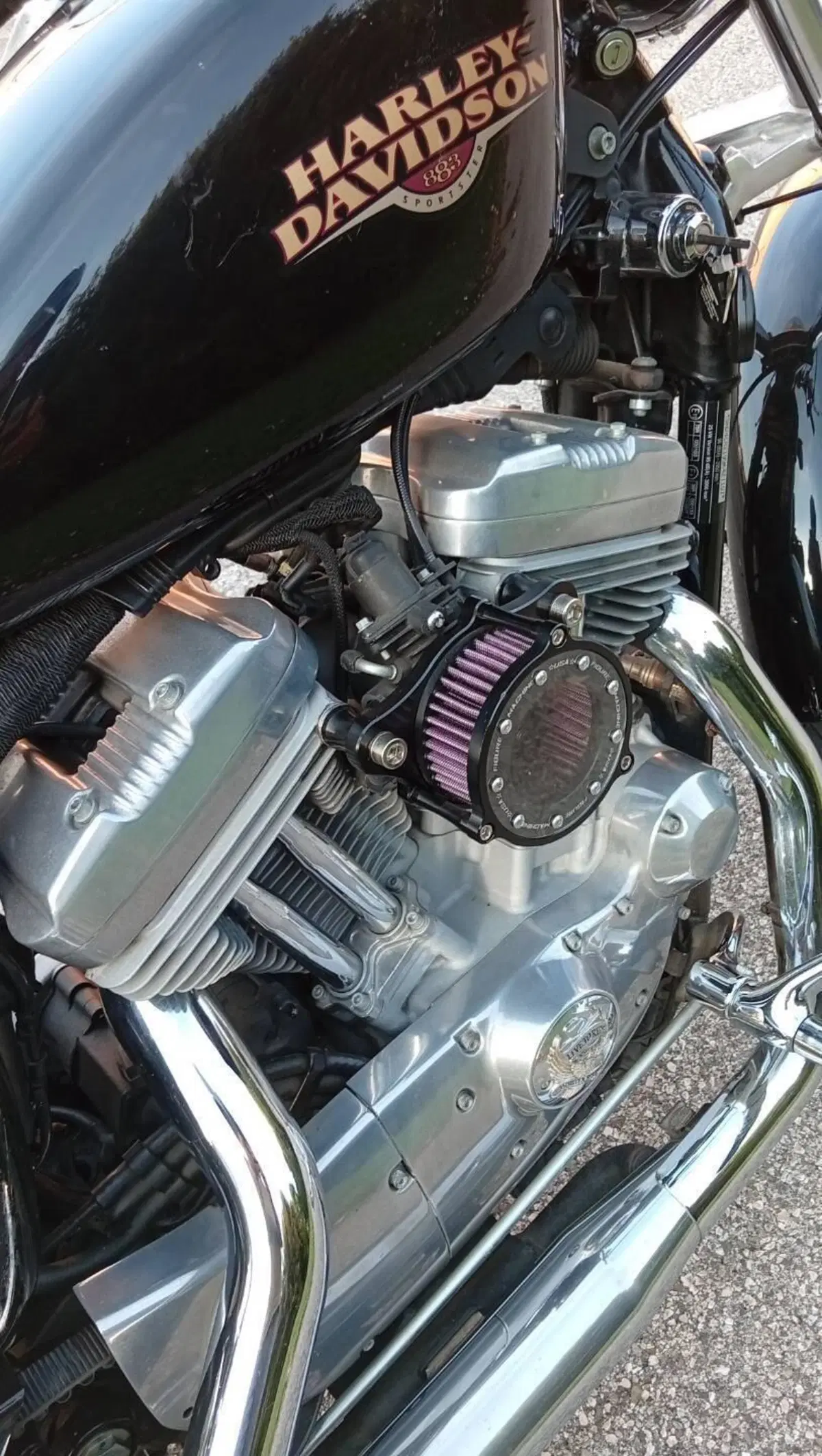Harley-Davidson 883 Custom (2008 - 12) - XL 883C (9)