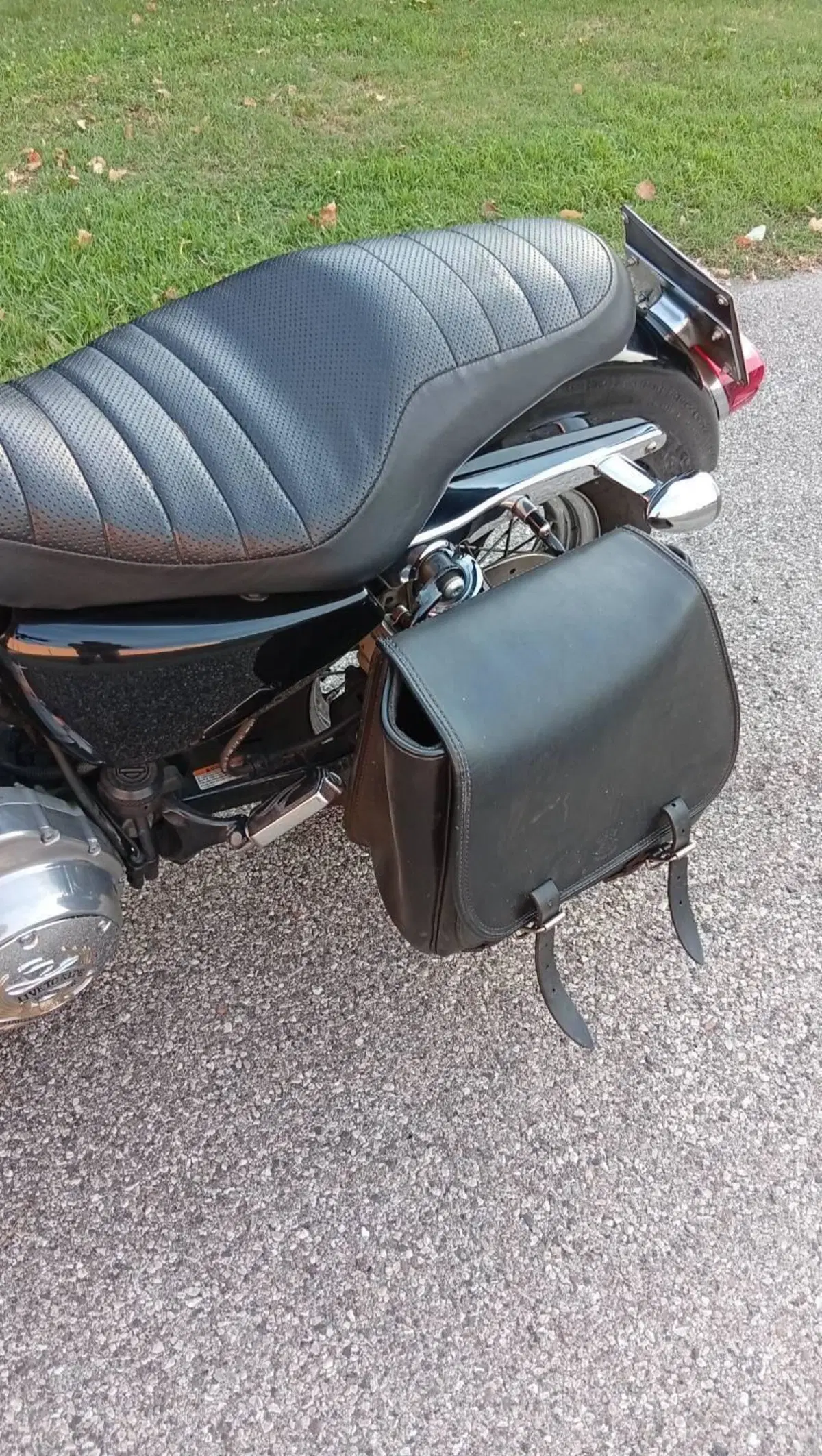 Harley-Davidson 883 Custom (2008 - 12) - XL 883C (10)