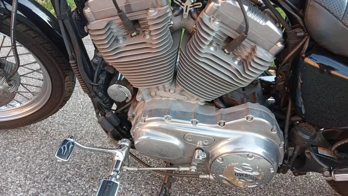 Harley-Davidson 883 Custom (2008 - 12) - XL 883C (13)