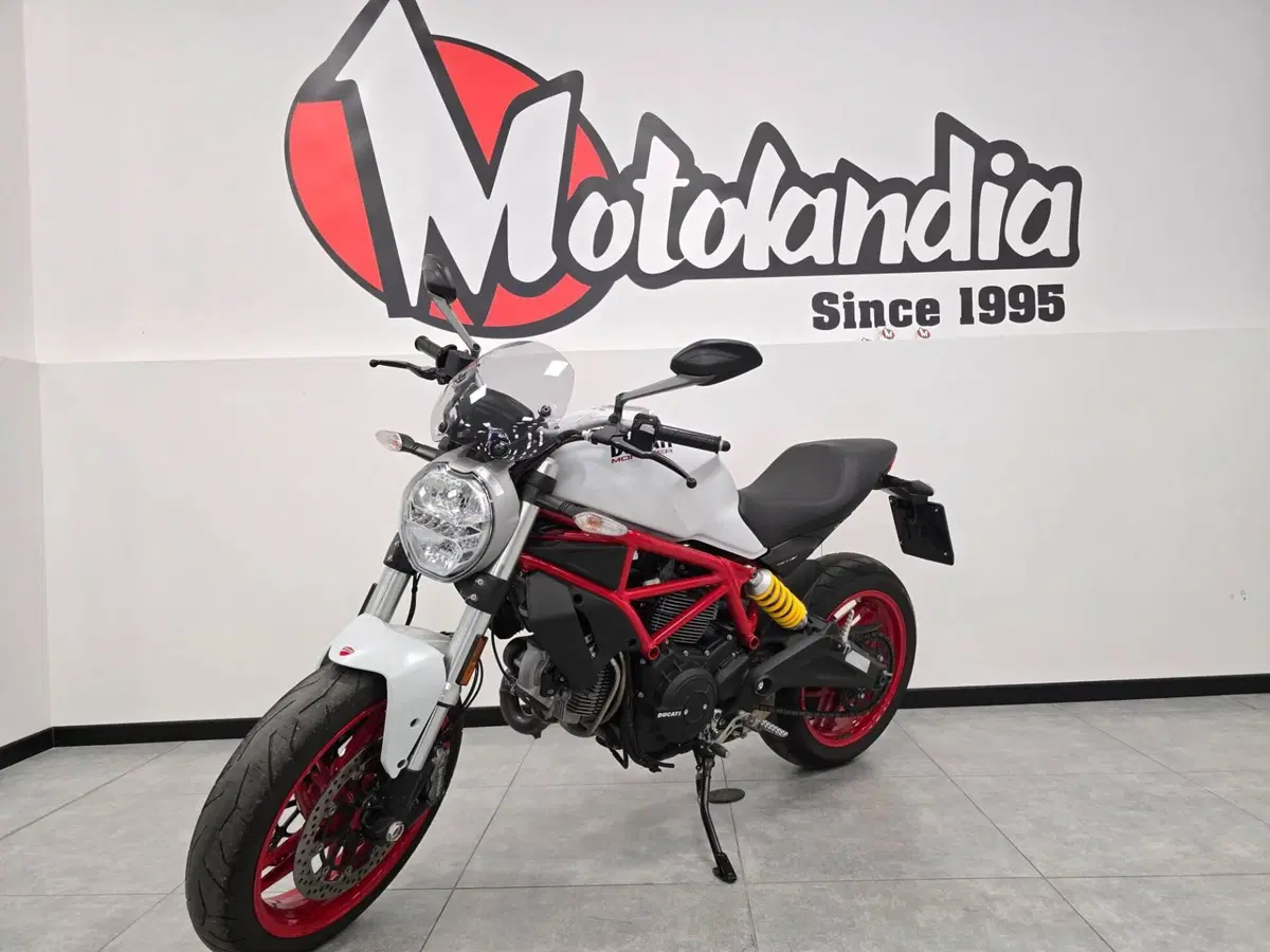 Ducati Monster 797 (2019 - 20) (3)