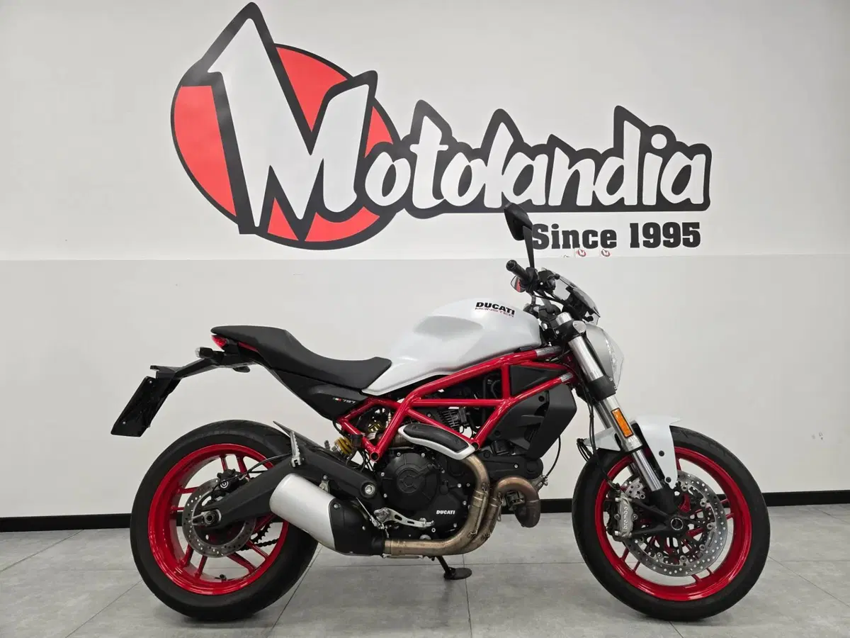 Ducati Monster 797 (2019 - 20) (4)