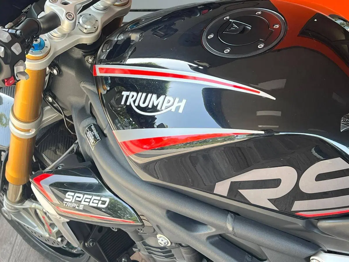 Triumph Speed Triple 1200 RS (2021 - 24) (11)
