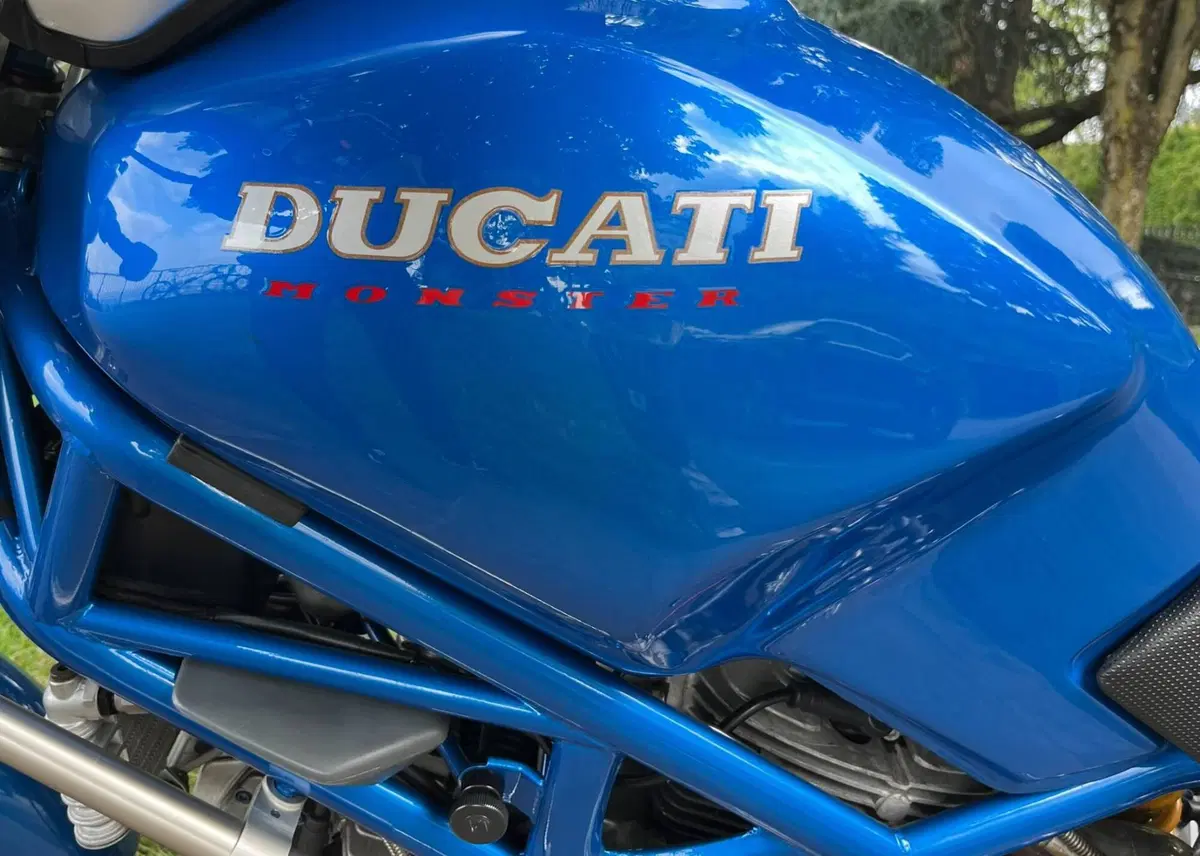 Ducati Monster CH Racing (7)