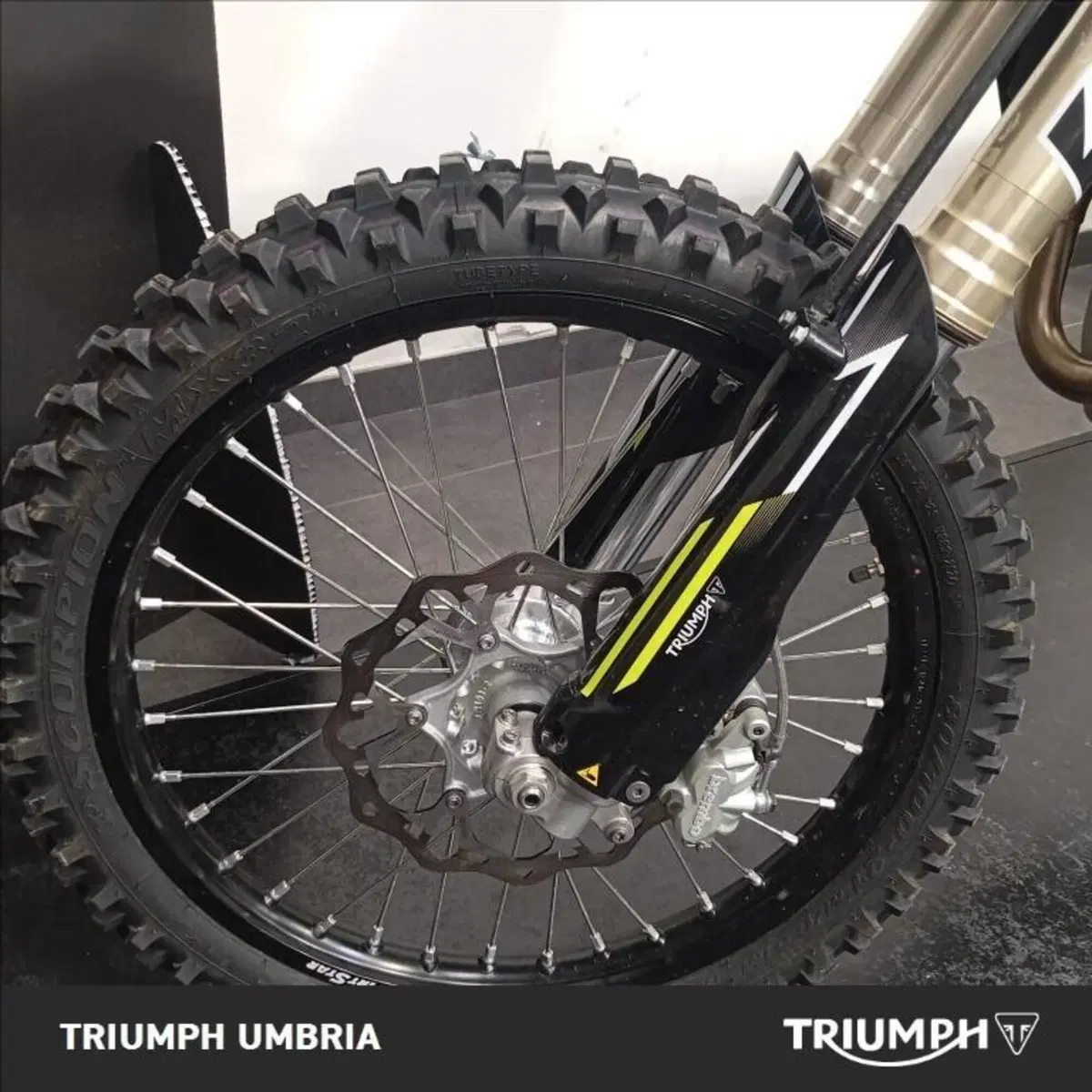 Triumph TF 250-X (2026) (3)