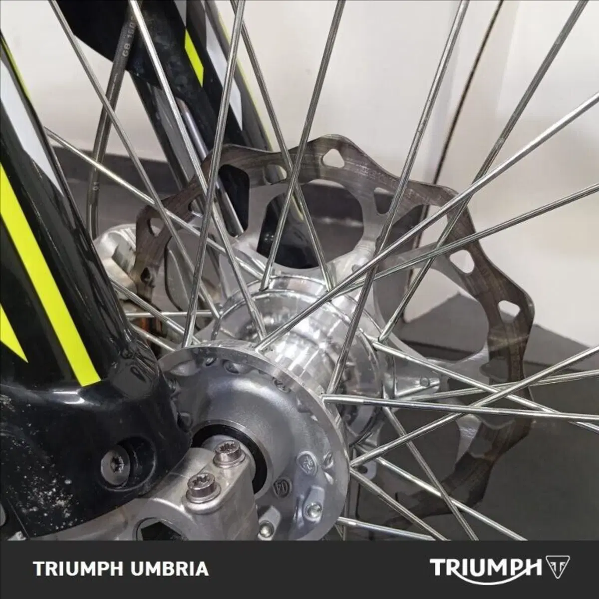 Triumph TF 250-X (2026) (11)
