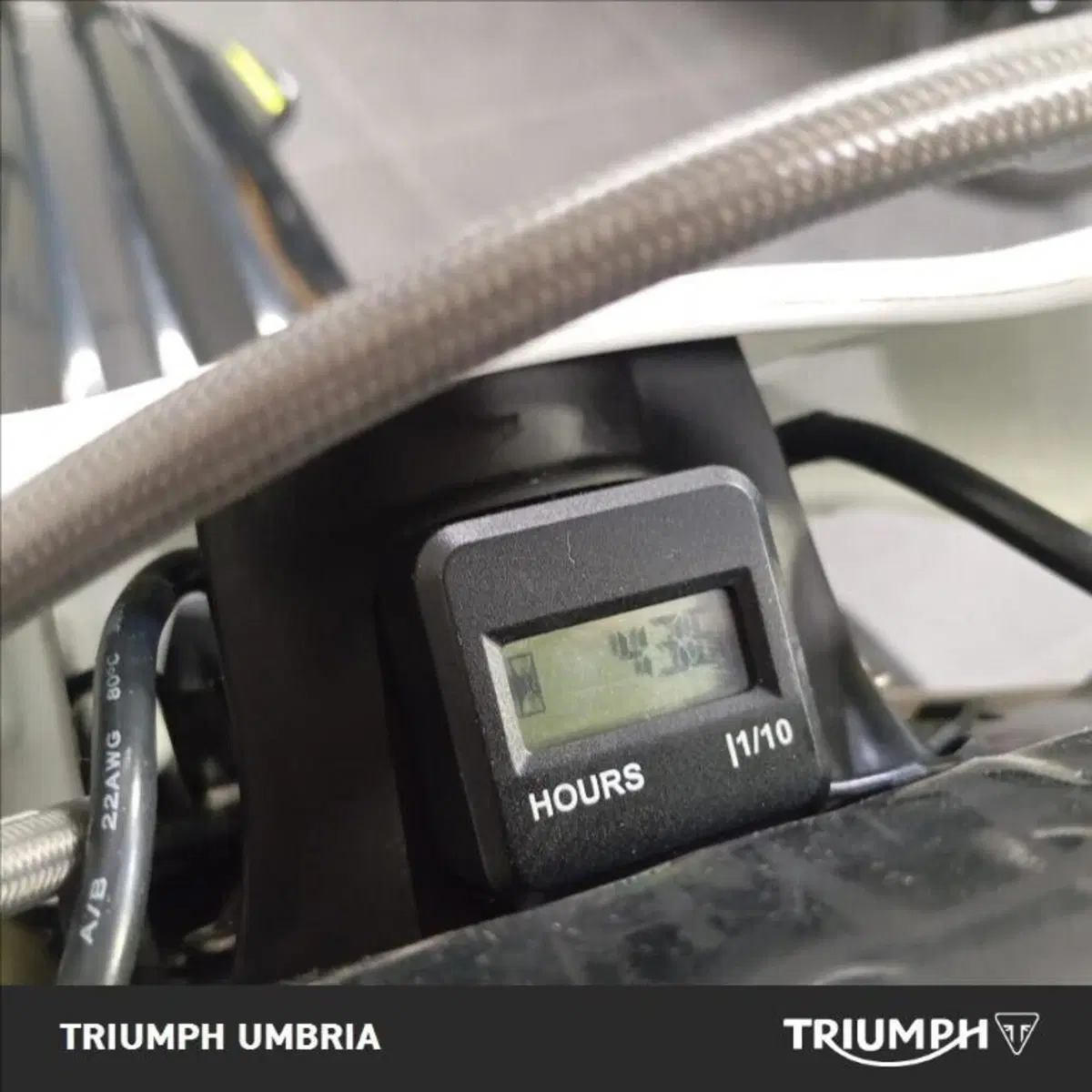 Triumph TF 250-X (2026) (6)
