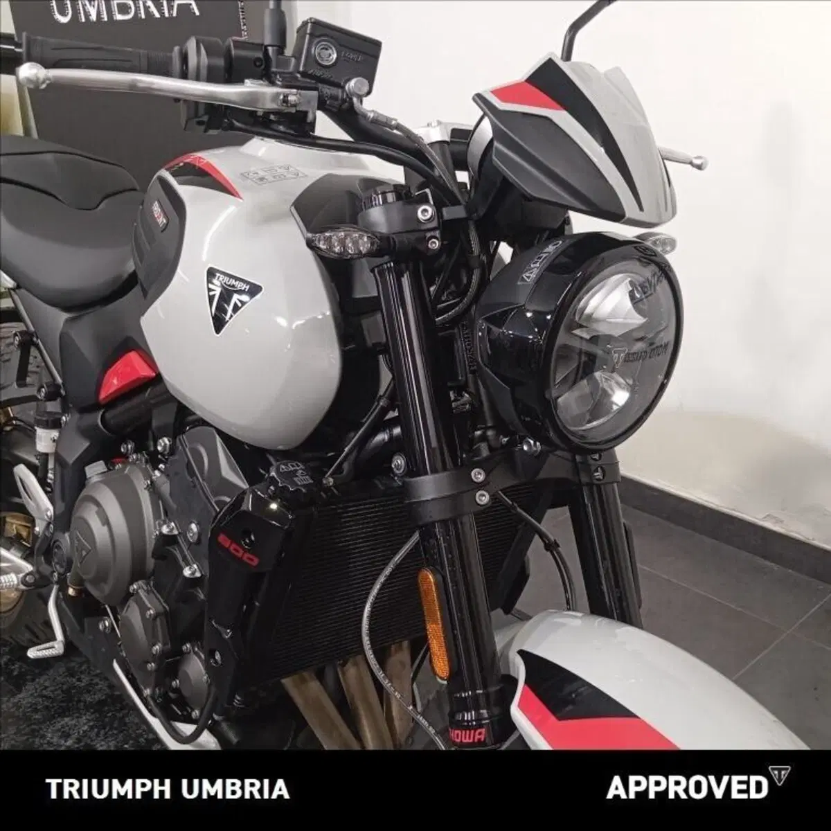 Triumph Trident 800 (2026) (3)