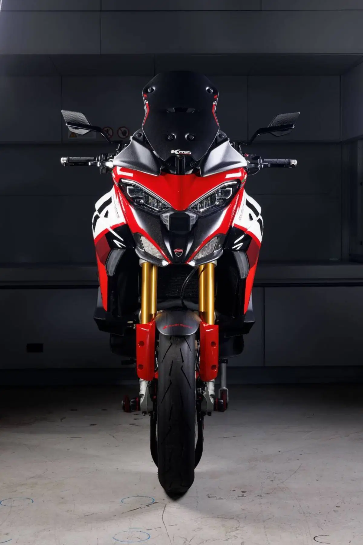 Ducati Multistrada V4 Pikes Peak (2021 - 24) (2)