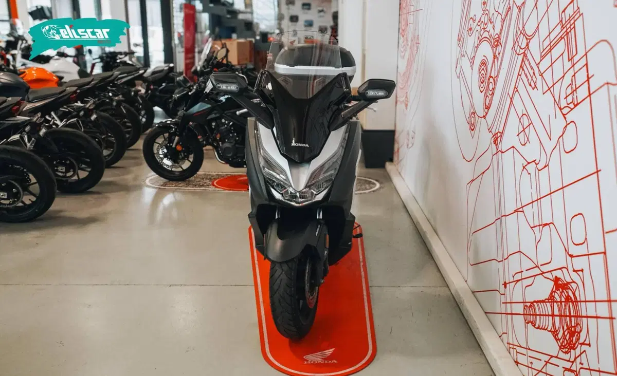 Honda Forza 300 (2019 - 20) (3)