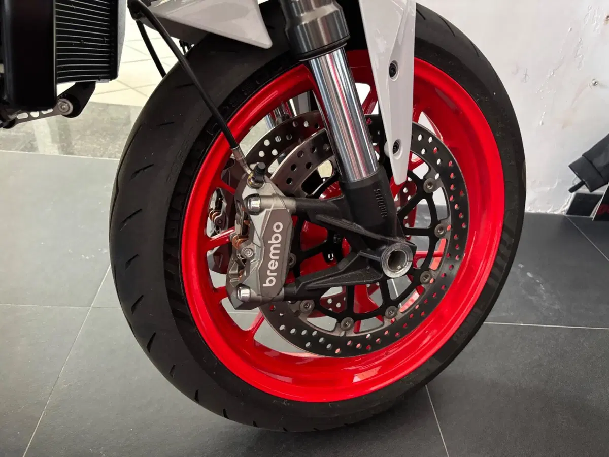 Ducati Monster 890 + (2026) (3)