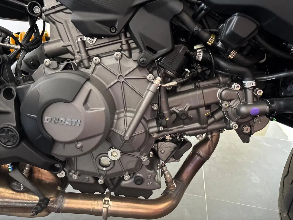 Ducati Monster 890 + (2026) (6)
