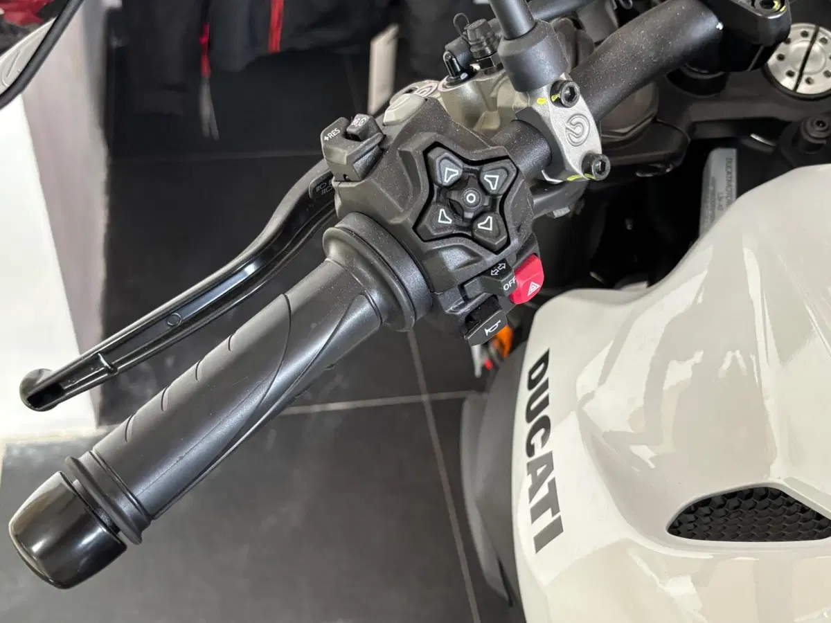 Ducati Monster 890 + (2026) (7)