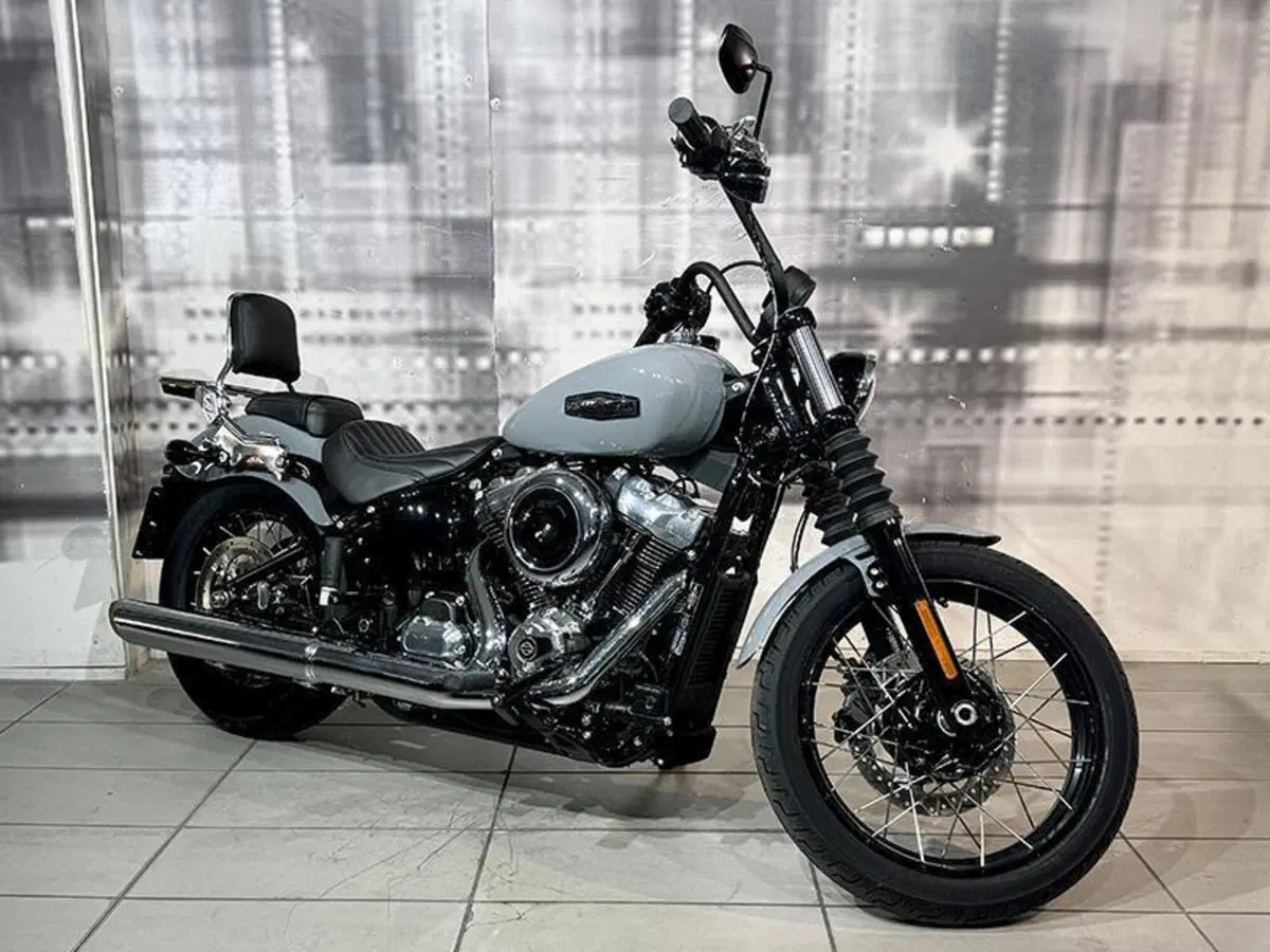 Harley-Davidson Street Bob 117 (2025 - 26)