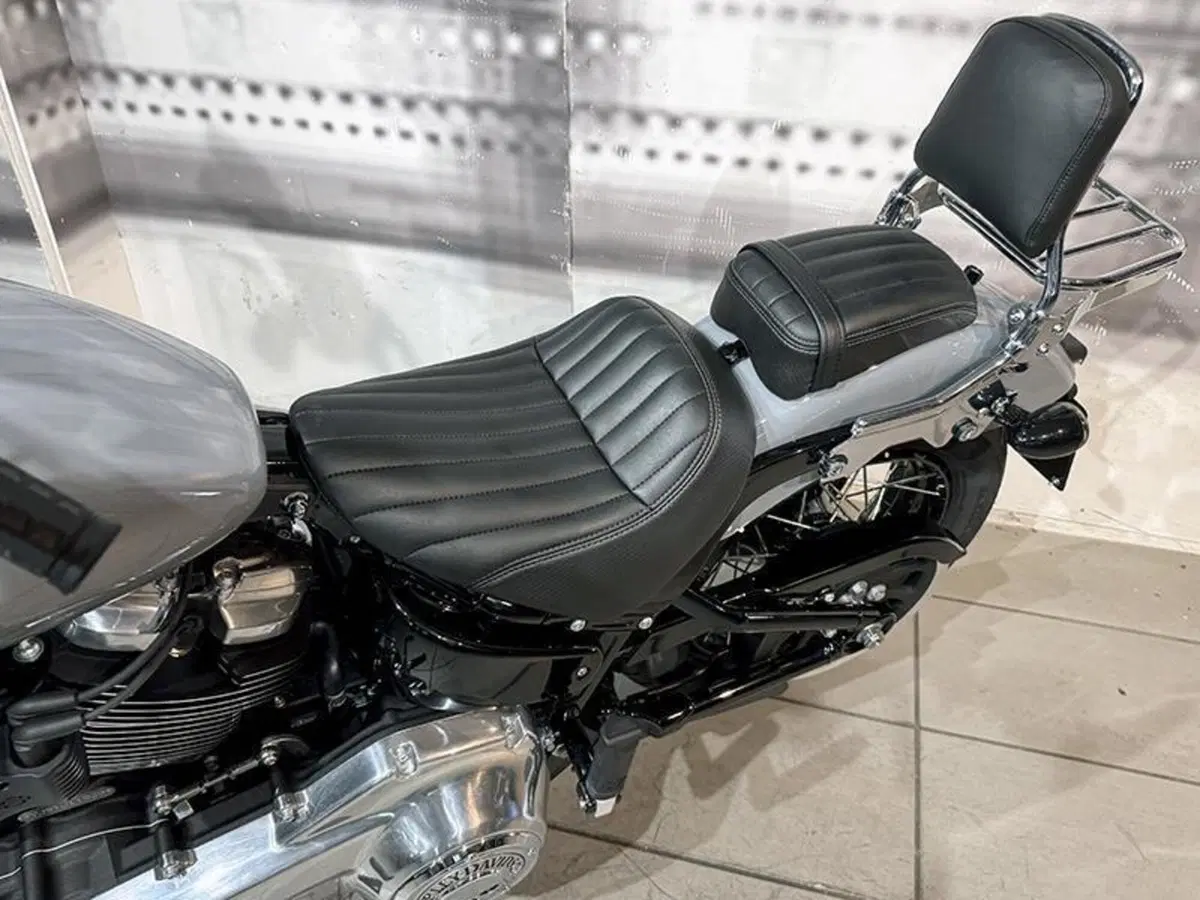 Harley-Davidson Street Bob 117 (2025 - 26) (4)