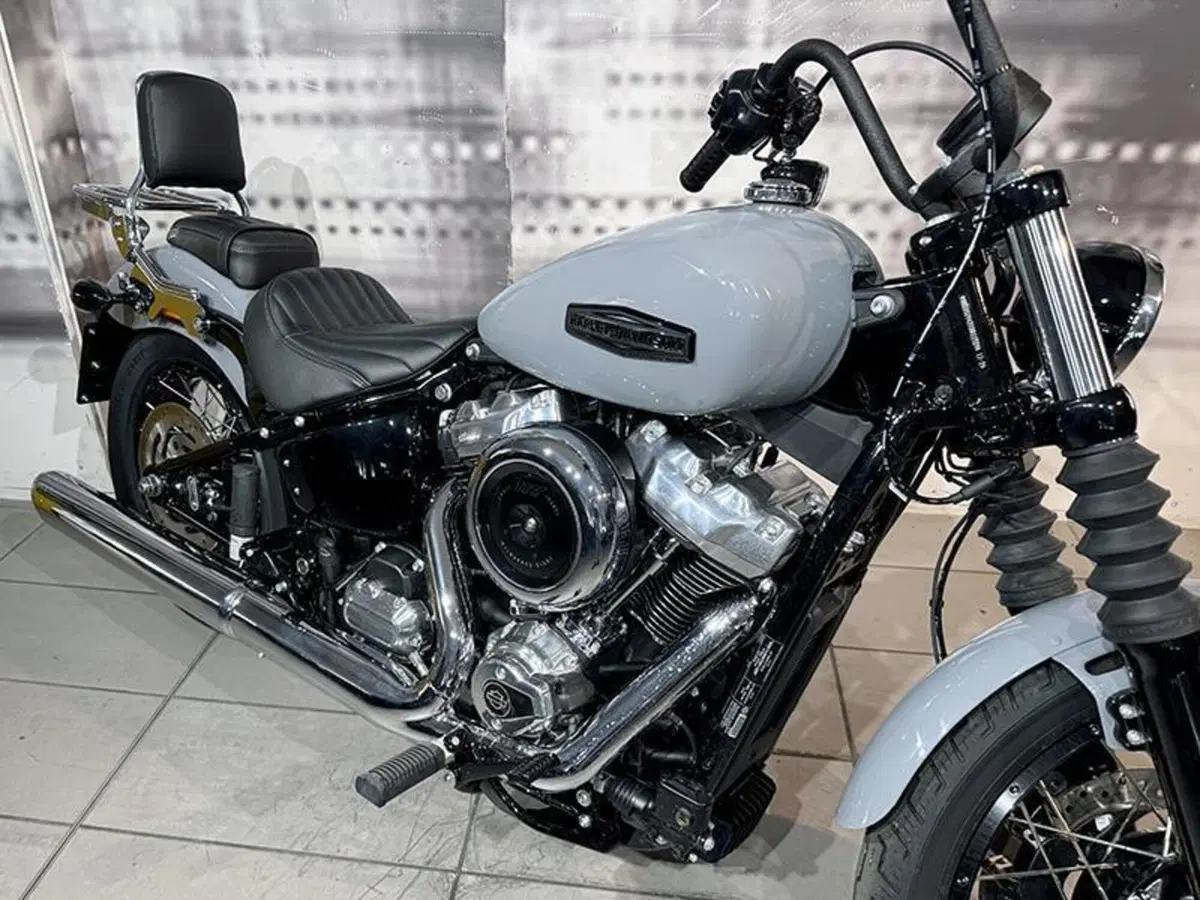 Harley-Davidson Street Bob 117 (2025 - 26) (5)