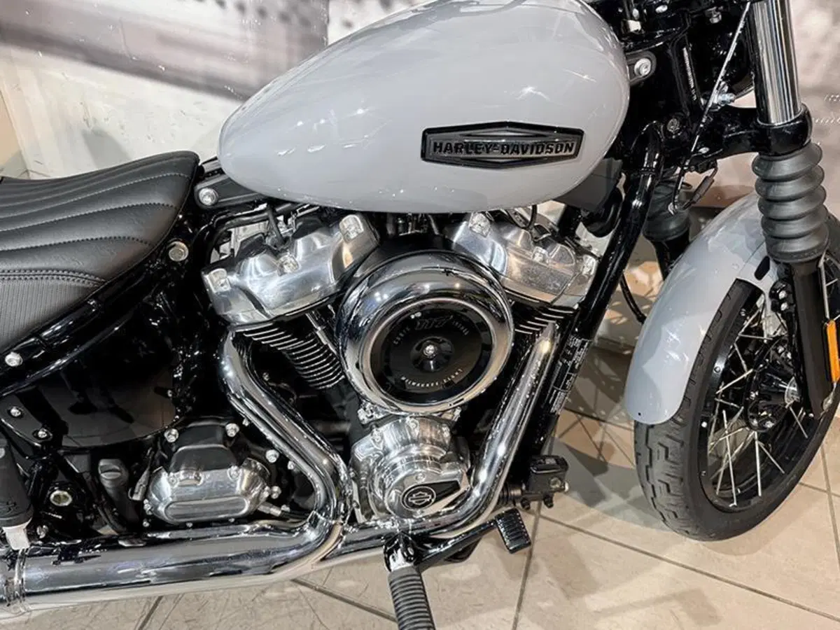 Harley-Davidson Street Bob 117 (2025 - 26) (6)