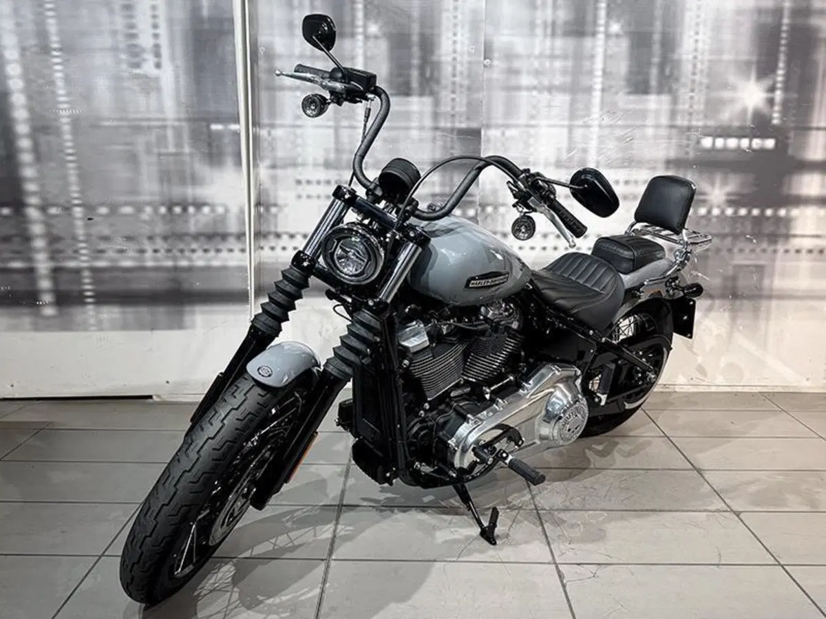 Harley-Davidson Street Bob 117 (2025 - 26) (7)