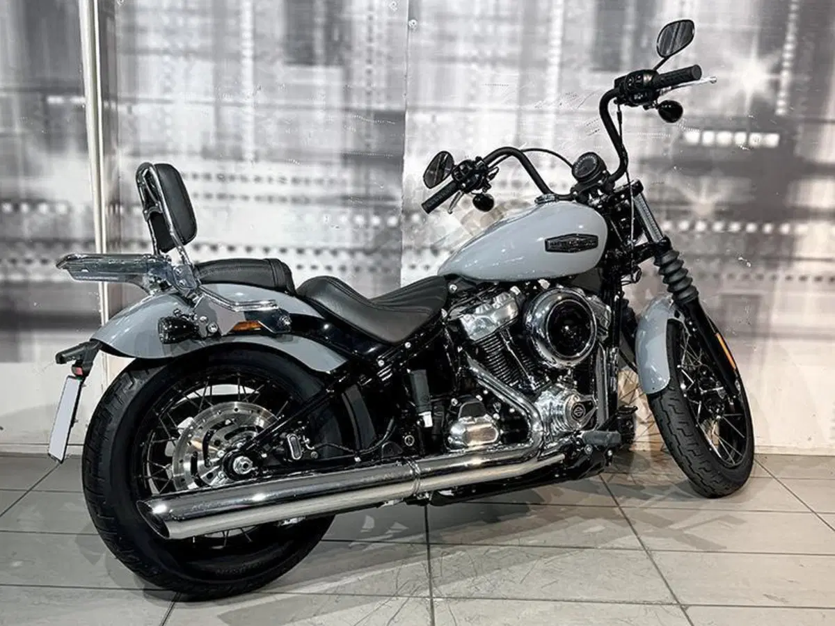 Harley-Davidson Street Bob 117 (2025 - 26) (8)
