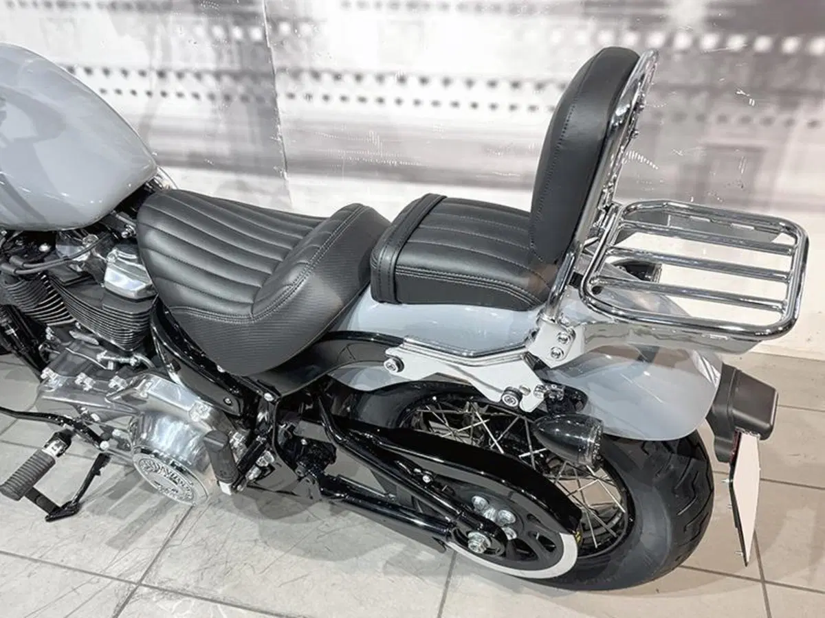 Harley-Davidson Street Bob 117 (2025 - 26) (9)