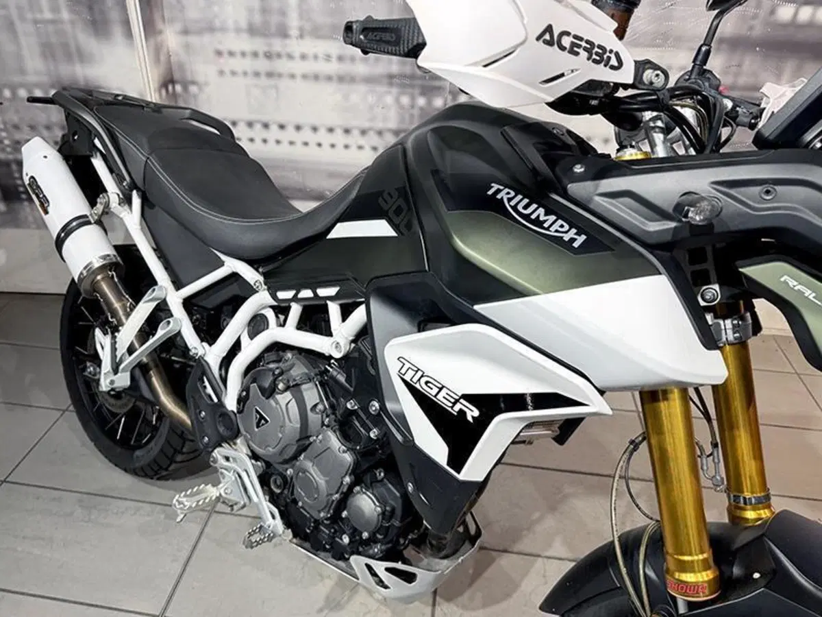 Triumph Tiger 900 Rally (2020 - 23) (5)