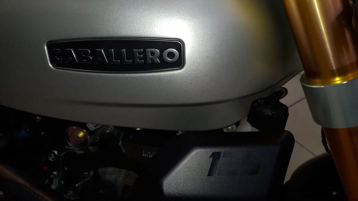 Fantic Motor Caballero 125 Flat Track (2021 - 24) (11)