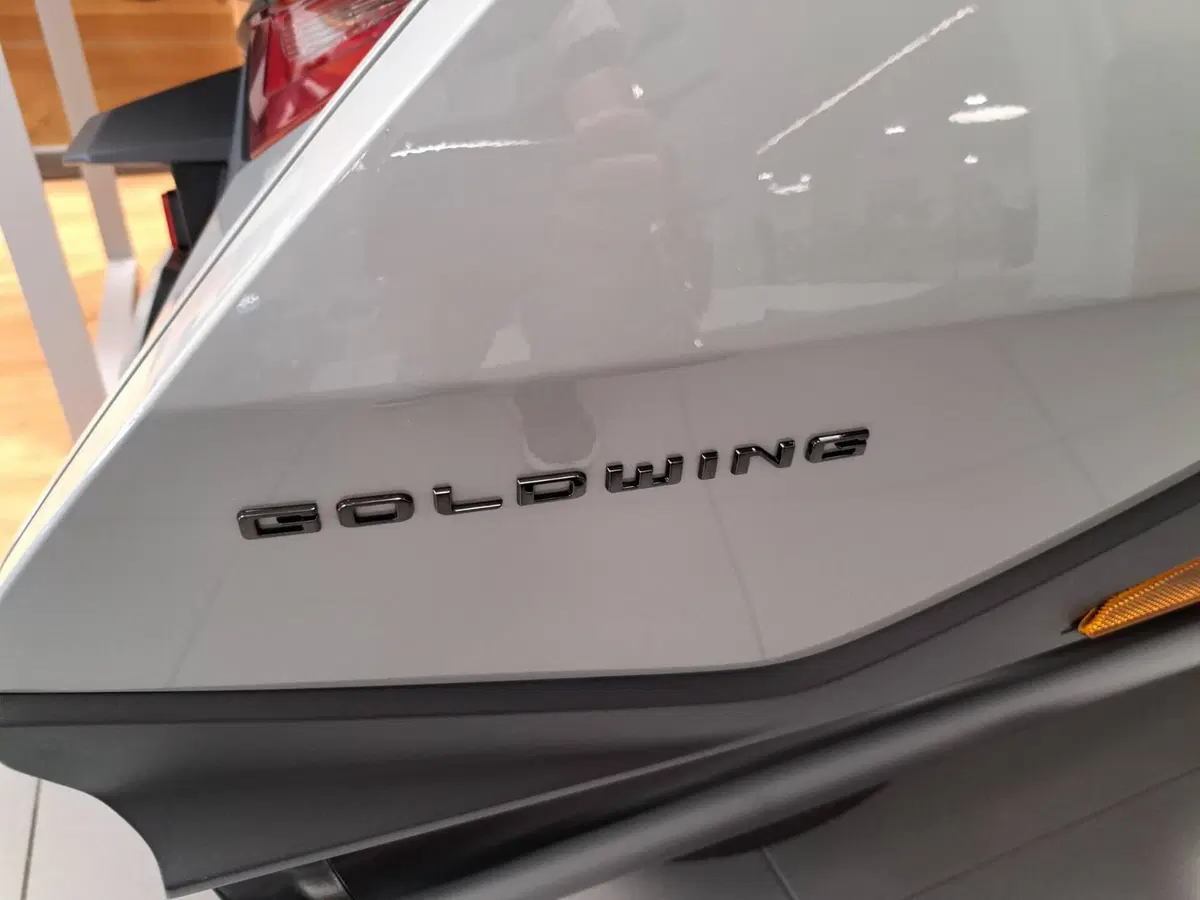 Honda GL 1800 Gold Wing Tour (2025 - 26) (13)