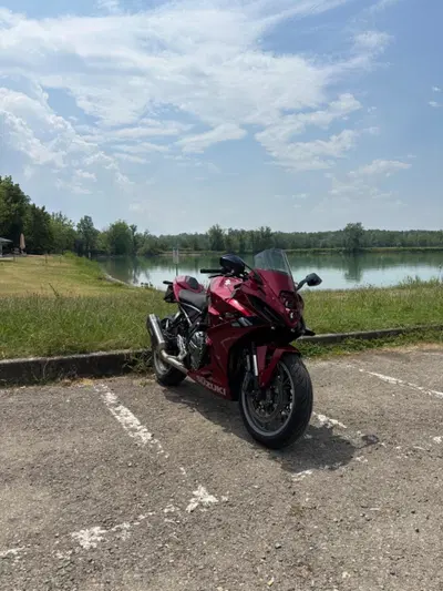 Suzuki GSX-8R (2024 - 26) usata