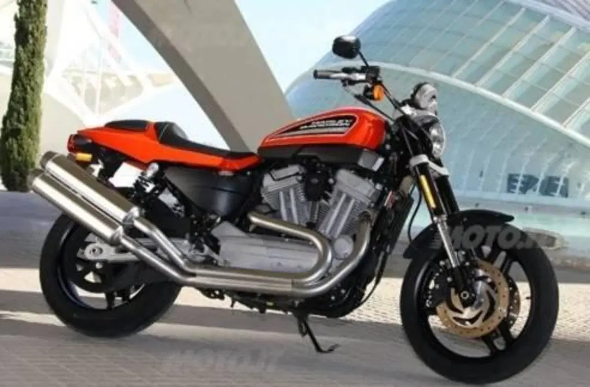 Harley-Davidson 1200 XR (2009 - 12)