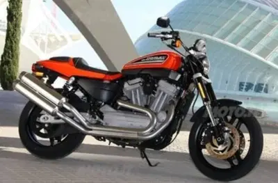 Harley-Davidson 1200 XR (2009 - 12) usata